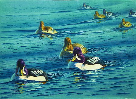 Ridin' the Wake